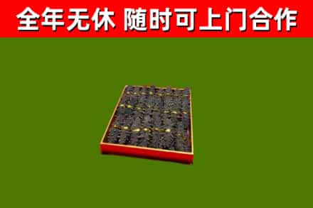 塔什库尔干回收海参